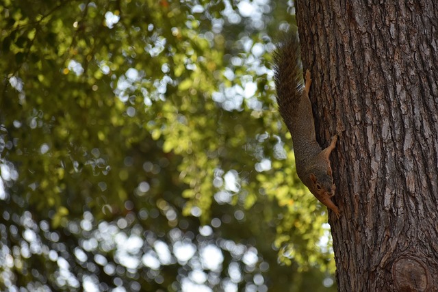 恭喜!肖国栋举办婚礼,赵心童、张安达等圈内好.
